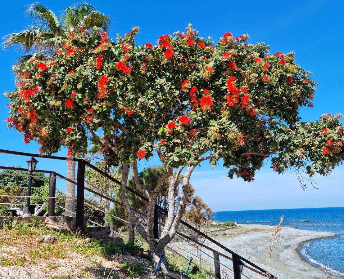 Astrofegia Beachfront Villa Pomos Luaran gambar