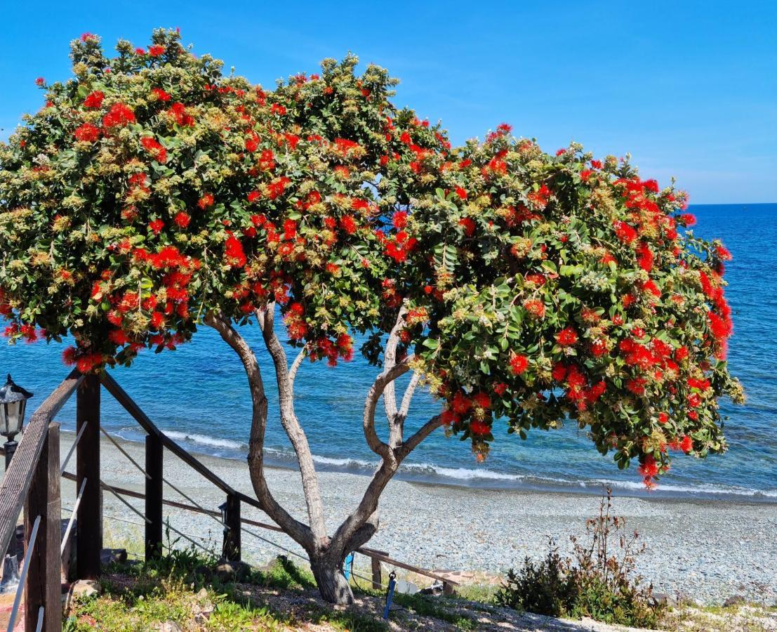 Astrofegia Beachfront Villa Pomos Luaran gambar